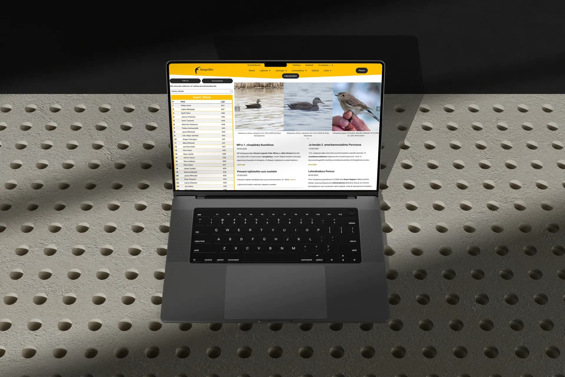 Bongariliitto sovellus